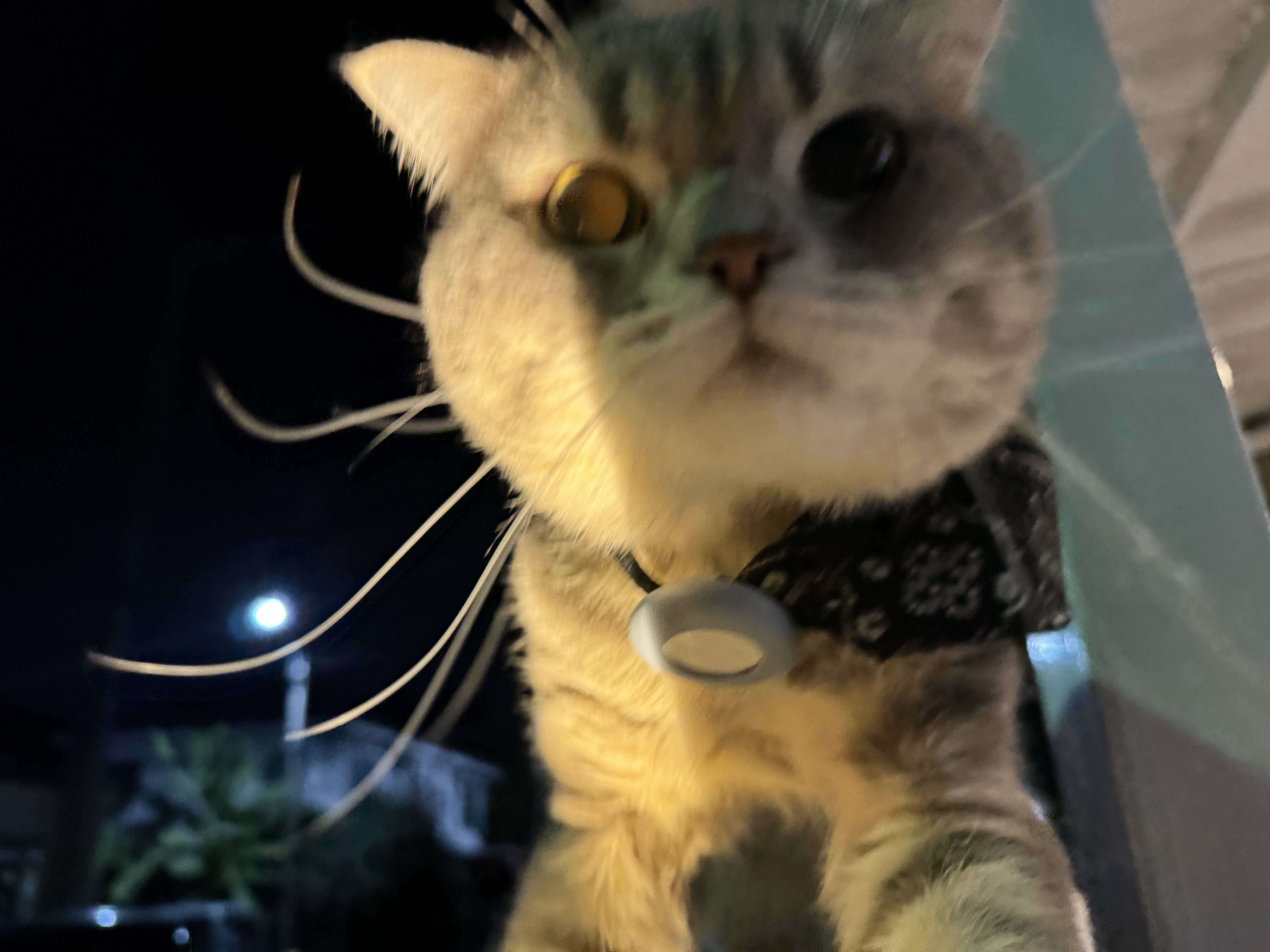 JiM06